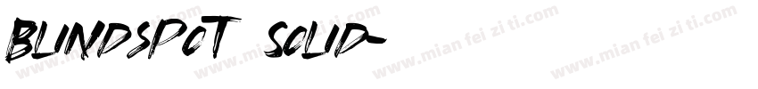 Blindspot Solid字体转换
